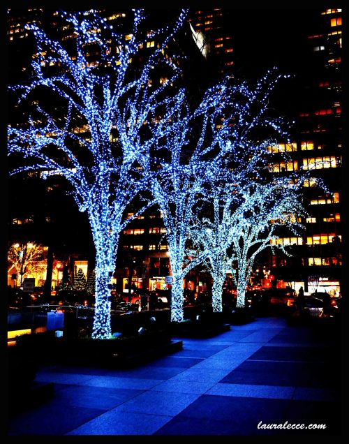 The Year Ahead - Photograph by Laura Lecce