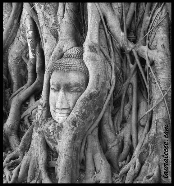 Existence - Photograph by Laura Lecce