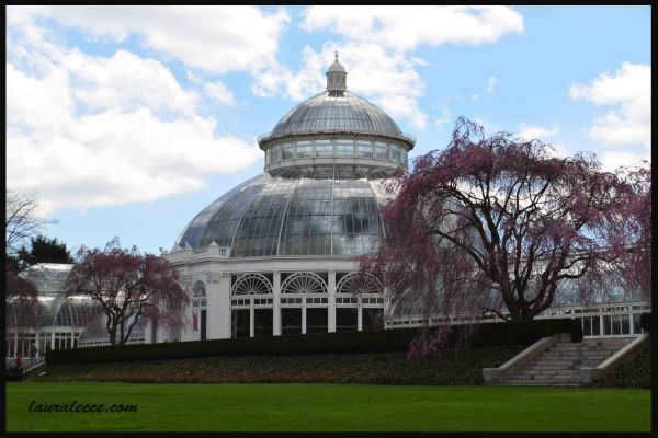 New York Botanical Gardens - Photograph by Laura Lecce