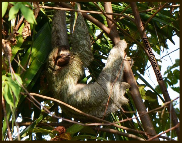 Happy to be Hanging Out - Photograph by Laura Lecce
