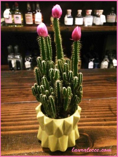 In a perfect world - Photographed by a good friend