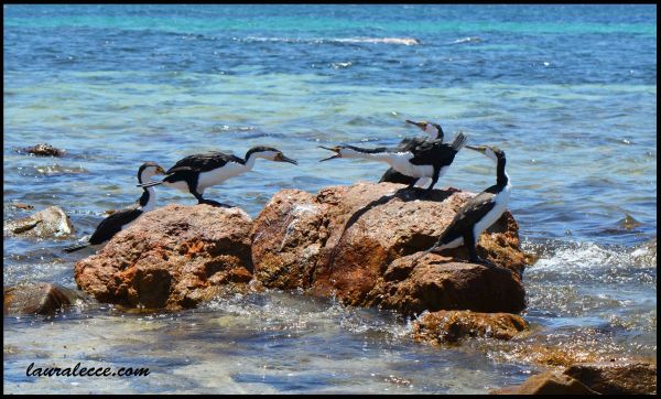 It wasn's always peaceful - Photograph by Laura Lecce